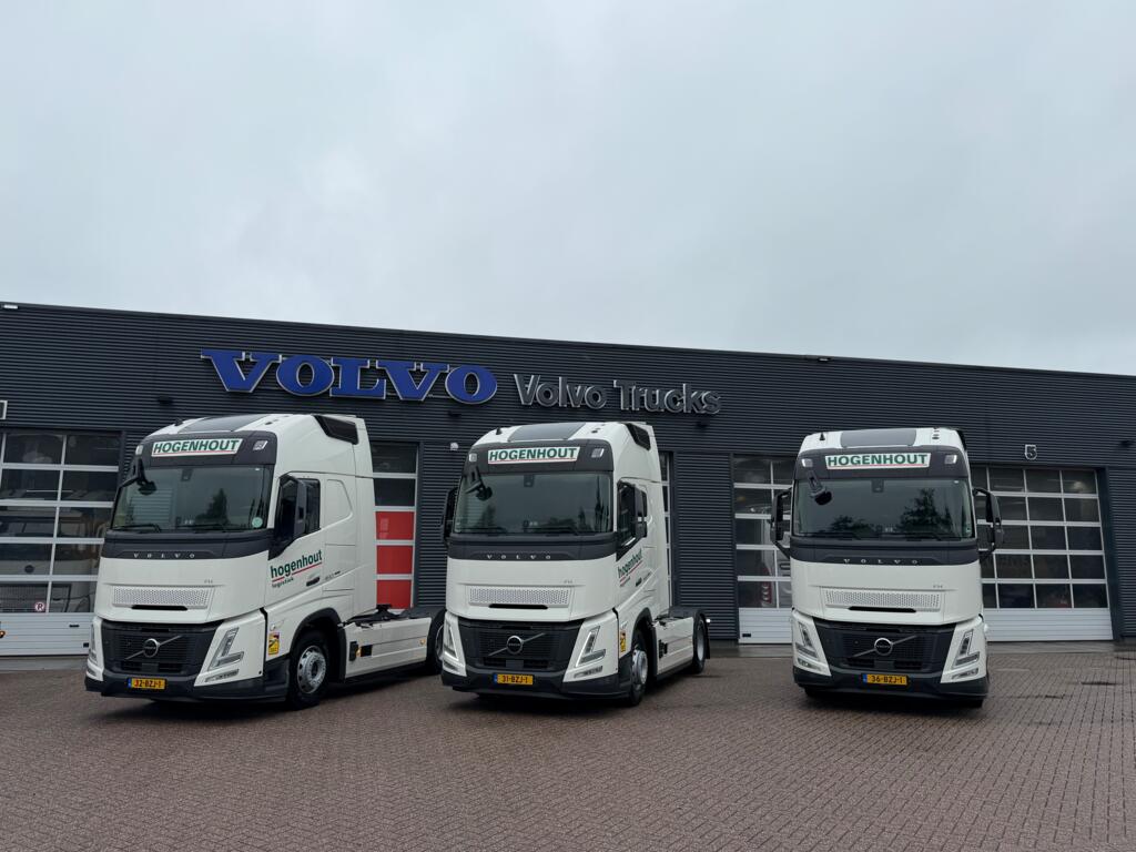 Hogenhout_31BZJ1_32BZJ1_36BZJ1