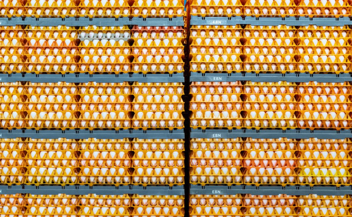 Volvo FH E. Buitenhuis Eierhandel_3 Volvo FH E. Buitenhuis Eierhandel_3