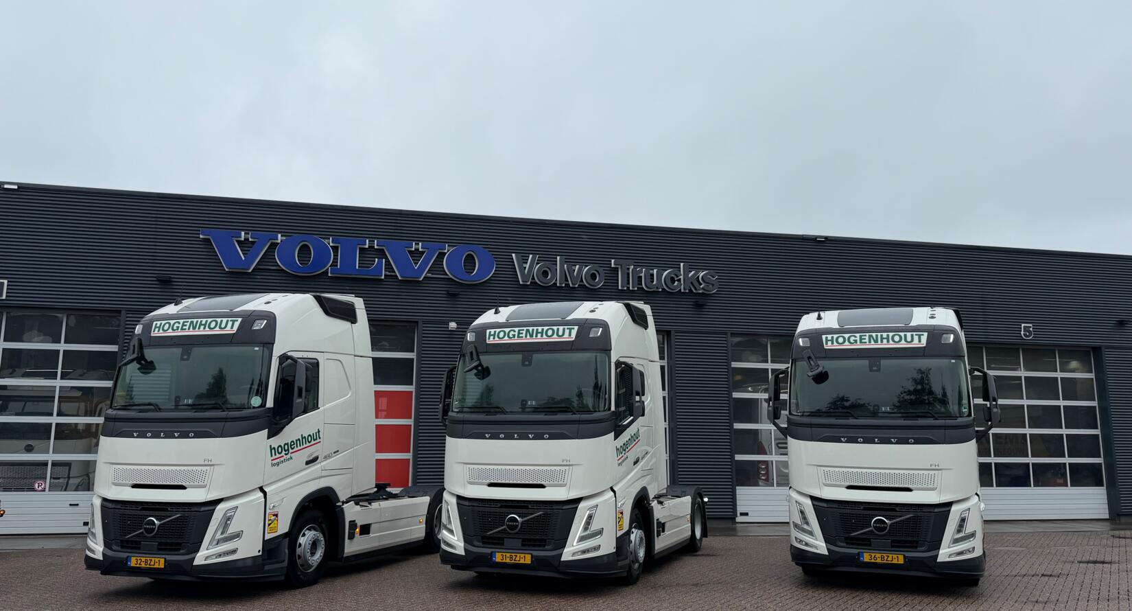 Hogenhout_31BZJ1_32BZJ1_36BZJ1