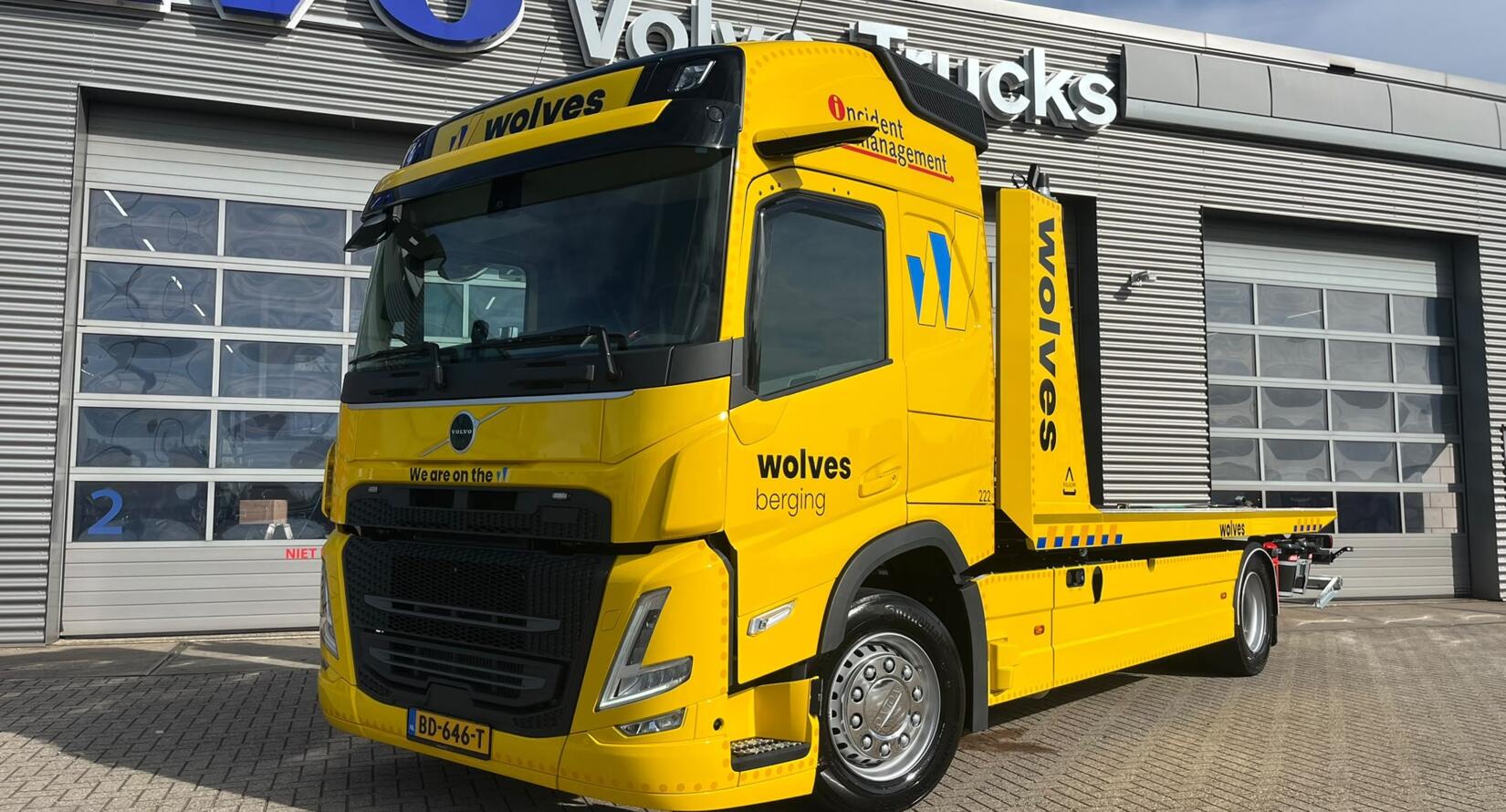 Wolves_BD646T