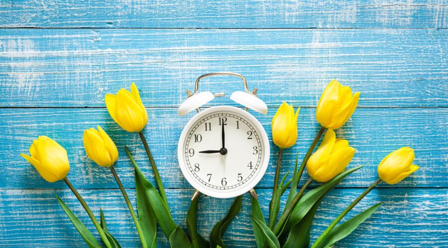 Openingstijden lente Openingstijden lente