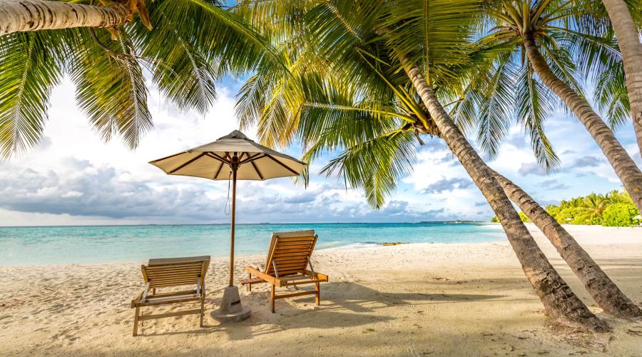 Openingstijden Harbers Trucks zomer Openingstijden Harbers Trucks zomer