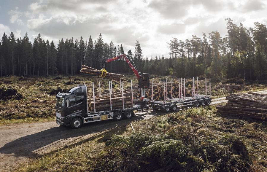 Volvo FH16 - houtkap